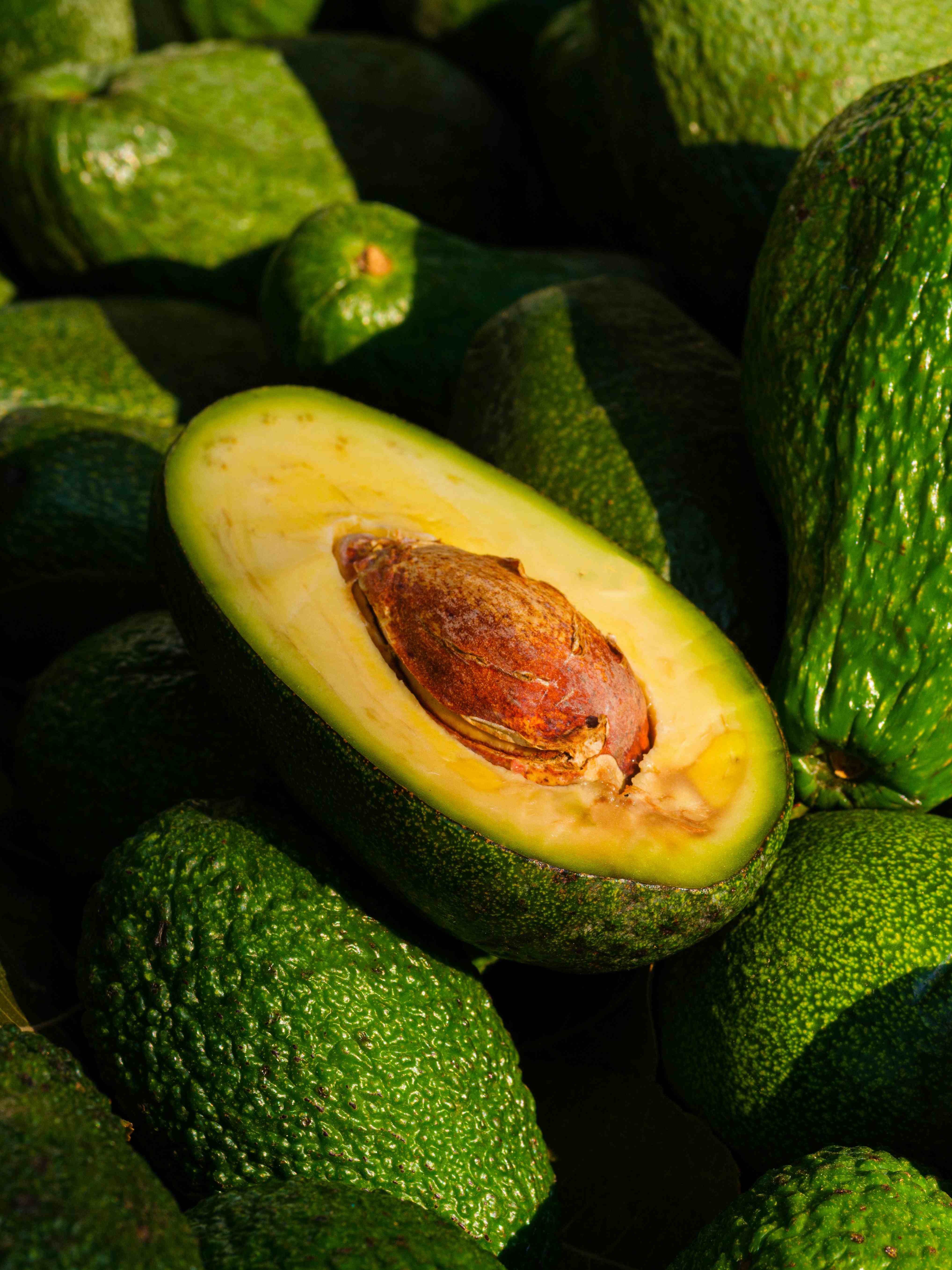 Fresh Avocados