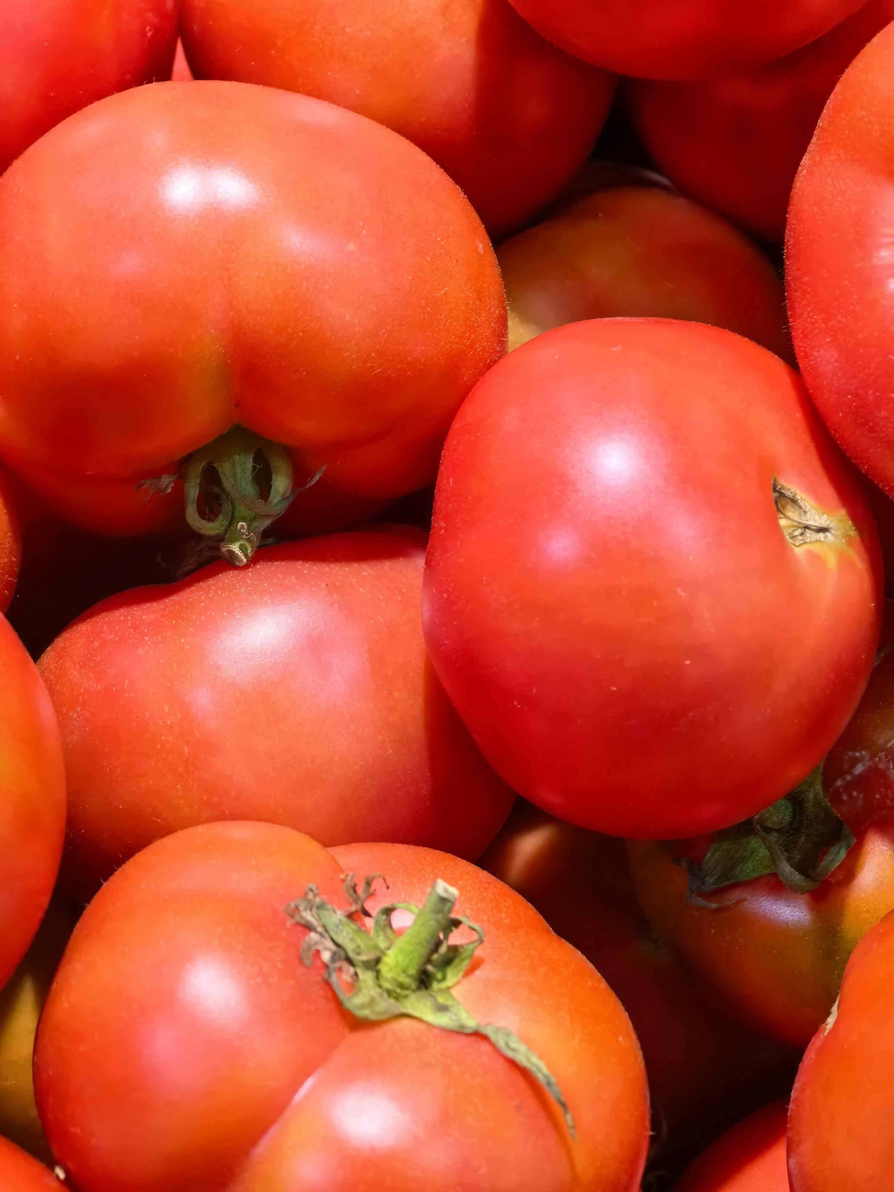 Organic Tomatoes